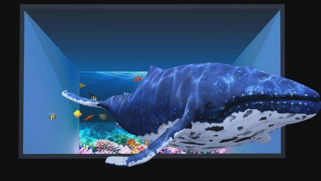 戶外裸眼3D技術-蘇州好奇數(shù)字科技