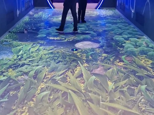 魚水地面投影互動-蘇州好奇數(shù)字科技有限公司