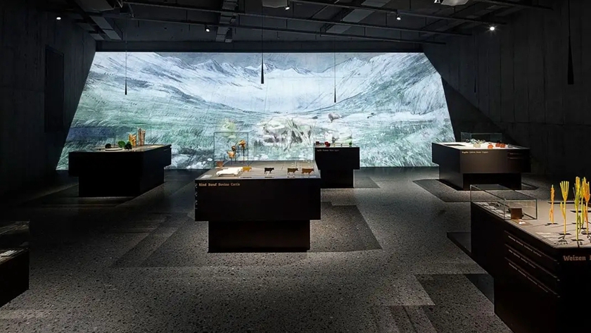 博物館多媒體展示：融合傳統(tǒng)與創(chuàng)新的視覺(jué)盛宴-蘇州好奇數(shù)字科技有限公司